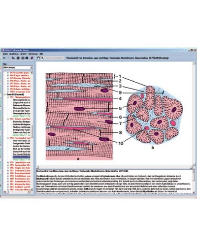 Histology of man and mammals, Interactive CD-ROM